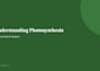 design professional powerpoint presentations, pitch decks and training slides